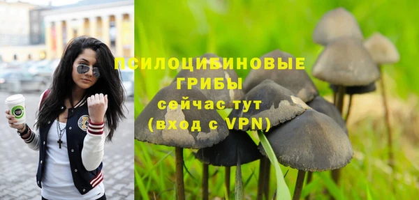 наркотики Снежногорск
