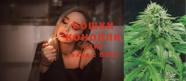 PSILOCYBIN Снежинск