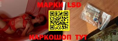 стаф Донской